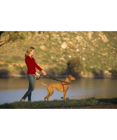 Halti Head Collar Adjustable Head Halter Collar for Dogs Head Collar to Stop Pulling for Small Dogs & Training Lead for Dogs Dog Lead to Stop Pulling on Walks Large Black Medium + Training Lead for Dogs Large Black - Buy Online on GoSupps.com