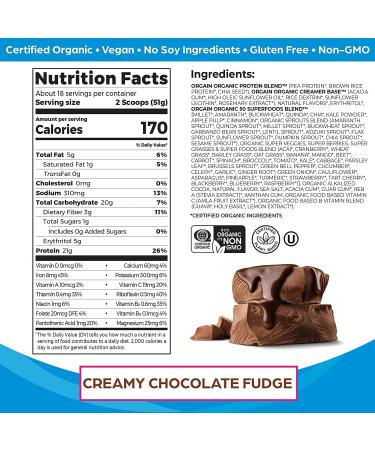 Orgain Organic Protein + Superfoods Powder Creamy Chocolate Fudge (2.02 Lb) and Orgain Organic Vegan Protein Powder Vanilla Bean (2.03 Lb) - Buy Online on GoSupps.com
