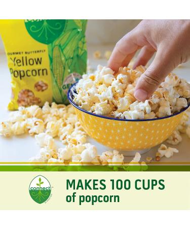 Connect Snacks Non-GMO Large Popcorn Kernels - 24 oz Bag | Gourmet Butterfly Yellow Popcorn | Gluten-Free & Sustainable | 100 Cups Popped - Buy Online on GoSupps.com