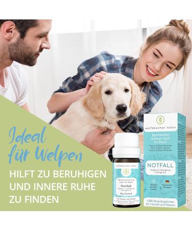 Emergency Bach Flower Globules for Dogs & Cats | 100% Natural Calming Tablets - 1 200 Globules for Panic & Shock - Buy Online on GoSupps.com
