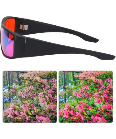 Colorblind Glasses for Red-Green Blindness | Vision Improvement for Better Sight - Buy Online on GoSupps.com