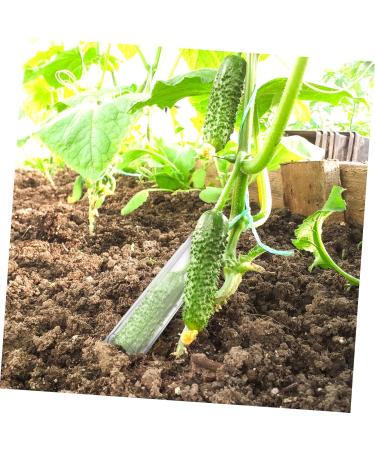 SUPVOX 4pcs Fruit Vegetables Shaping Pentagram Planting Star Accessories Plangting Plastic Mould Mold - Buy Online on GoSupps.com
