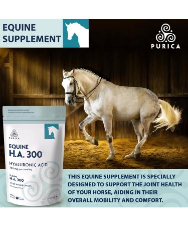 PURICA Equine HA - Horse Joint Supplement with Hyaluronic Acid and Vitamin C 990g - Ideal for Equine Health & Recovery 990 g (Pack of 1) - Buy Online on GoSupps.com