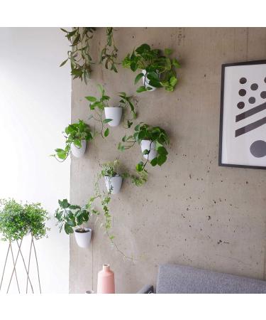 Set of 3 MakeGood Virgo Wall Planters: Lightweight, Easy to Water & Install, Melamine Plastic - Create Your Vertical Garden - Buy Online on GoSupps.com