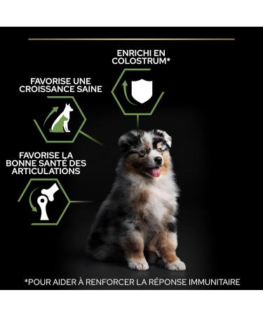 PURINA PRO PLAN Medium Puppy 1 Healthy Start | Rich in Chicken | Dry Food | Puppy | 12kg Bag - Buy Online on GoSupps.com