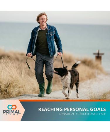 Primal Labs Advanced Nerve Support - Nerve Wellness Supplement with Benfotiamine B6 B12 Alpha Lipoic Acid Acetyl-L-Carnitine - Nerve Wellness Feet Legs Sensory Function Comfort - 60 ct. - Buy Online on GoSupps.com