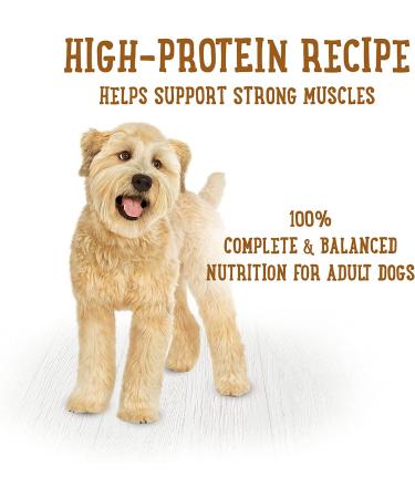 Purina Beneful High Protein Beef Stew Wet Dog Food - 8-Pack of 10 oz. Tubs - Buy Online on GoSupps.com