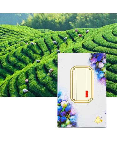 Bediffer Sachets de th Oolong de Raisin 24 sachets de th aux Fruits parfum s Jaune Vert Vif pour Le Temps Libre - Buy Online on GoSupps.com