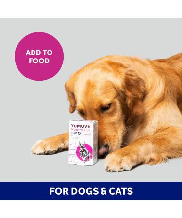 YuMOVE Digestive Care PLUS | Veterinary Strength Probiotic Support for Dogs & Cats | Fast-acting Digestive Aid | 6 Sachets - Buy Online on GoSupps.com