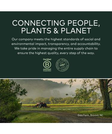 Gaia Herbs Astragalus Supreme - Immune & Antioxidant Support Supplement - 120 Vegan Capsules - Buy Online on GoSupps.com