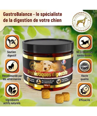 GastroBalance Probiotic Dog Treatment 60 Natural Probiotic Dog Intestinal Flora Croquettes Bacon Flavor (French) - Buy Online on GoSupps.com