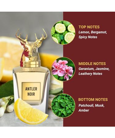 Antler Noir - Signature Perfume for Men with Oriental Citrus Scent | Alcohol Free & Long Lasting Arabian Perfume for Men 3.4 Fl. Oz. - Buy Online on GoSupps.com