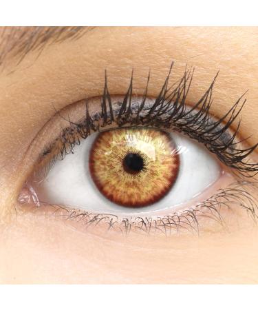 Contact lenses colored 'ibiza brown' without strength colored brown monthly lenses soft lentils soft hydrogel 2 pieces color lens + lens container 0.0 diopttries natural colors series
