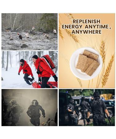 Emergency Food Ration Bars - Survival Tabs for Camping & Emergency Preparedness | 20-Year Shelf Life | 250g Original Flavor - Buy Online on GoSupps.com