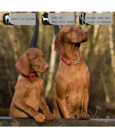 Premium Dog Leash Splitter - Dual Line Leash for 2 Dogs Adjustable Size Perfect for Hiking Jogging & Training - Black - Buy Online on GoSupps.com