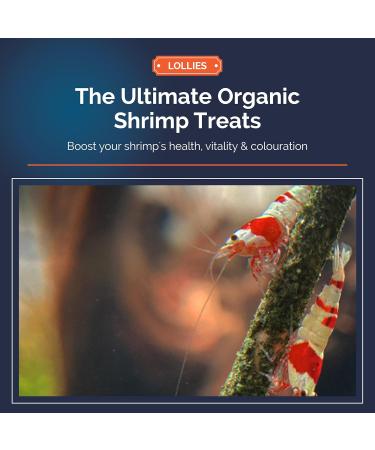 Gioia Shrimp - Gioia Shrimp - Pack of 12 Catappa lollies - Buy Online on GoSupps.com