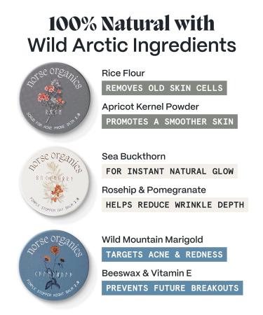 Norse Organics | The Complete System For Pimples | 3 Step System with Day Night Balms & Face Scrub | Arctic Herbs & Beeswax | Natural Face Care for Teens Adults Men Women | Complete Kit - Buy Online on GoSupps.com