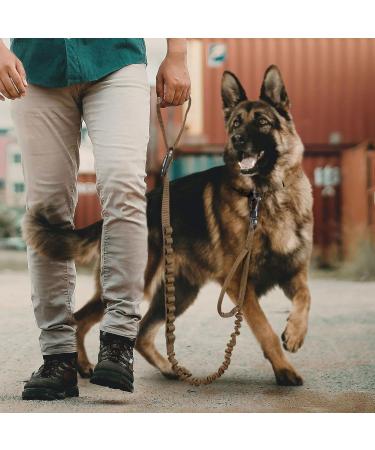 Excellent Elite Spanker Tactical Bungee Dog Leash - Elastic Brown & Black for Training & Walking - Buy Online on GoSupps.com