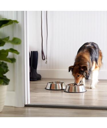 Amazon Basics Stainless Steel Dog Bowl Set - 2 Pack - Buy Online on GoSupps.com