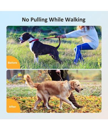 Dog Prong Collar Choke Collar for Dogs Pinch Training Collar Detachable Adjustable Choke Collar with Comfort Rubber Tips Metal Adjustable Large Middle Dog Pet Pinch Collar (A XL) A XL - Buy Online on GoSupps.com