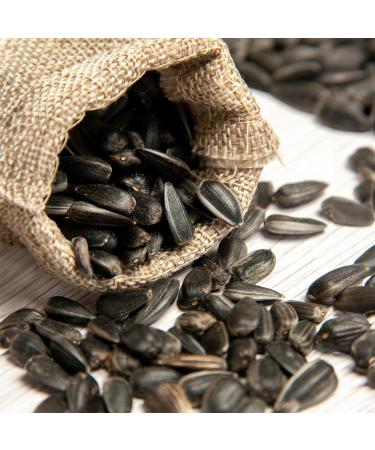 5kg Black Sunflower Seeds Wild Bird Food Sunflowers in Bucket (5kg) - Buy Online on GoSupps.com