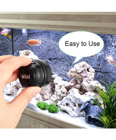 Cunhill 2-Piece Mini Aquarium Glass Cleaner - Magnetic Algae Scraper for Small Fish Tank - No Scratch Magnet - Black - Buy Online on GoSupps.com