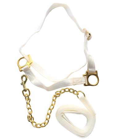 Equine Outlet White Adjustable Horse Welsh Show Halter Headcollar with Chain Lead - Pony & Cob (Pony)