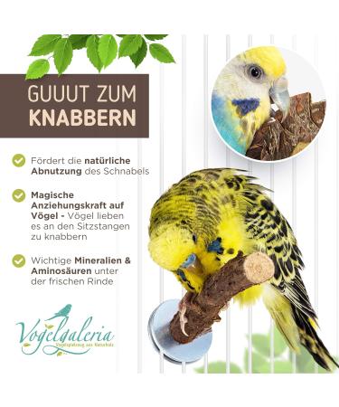Vogelgaleria Natural Wood Poles for Birds | Budgie Nymphic Canary Agapornid Accessories | Essential Bird Cage Supplies - Buy Online on GoSupps.com