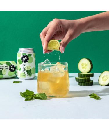Buy Roy Cucumber & Mint Kombucha Bio - Organic Vegan Gluten-Free | 6 Pack 330ml | Handmade in Berlin - Buy Online on GoSupps.com