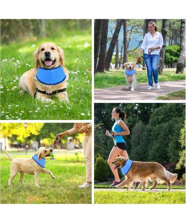 Cooling Collar for Dogs | Breathable Summer Neckerchief for Ultimate Heat Relief - Buy Online on GoSupps.com