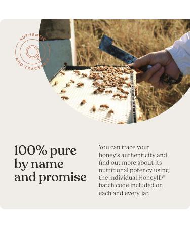 Manuka Honey New Zealand 100% Pure UMF 20+ MGO 829+ Raw & Unfiltered Certified Award Winning Silky Smooth Taste & Texture 250g UMF 20+ 250 g (Pack of 1) - Buy Online on GoSupps.com