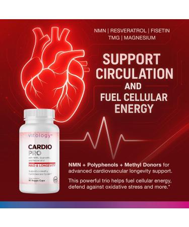 Vitology N.A.D.+ Longevity Cardiovascular Support Supplement with NMN, NR, Resveratrol, Fisetin, Quercetin, TMG & Apigenin Promote Healthy Heart Function & N.A.D.+ Levels 60 Veggie Capsules - Buy Online on GoSupps.com