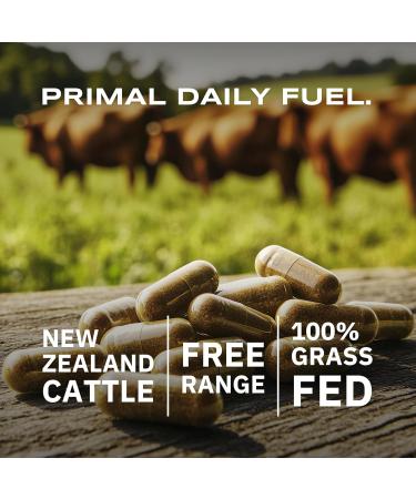 Suppgrade Labs Organs 101 by Dave Asprey | Daily Vital Nutrient Support | 100% Grass-Fed Beef Organs Supplement | Freeze-Dried Liver Heart Kidney Pancreas and Spleen | Non-GMO | 30 Day Supply - Buy Online on GoSupps.com