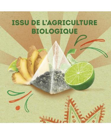  Lipton Lipton Organic Green Tea Ginger & Lime Rainforest Alliance Certified 240 Bags (Pack of 12 x 20 Bags) - Buy Online on GoSupps.com