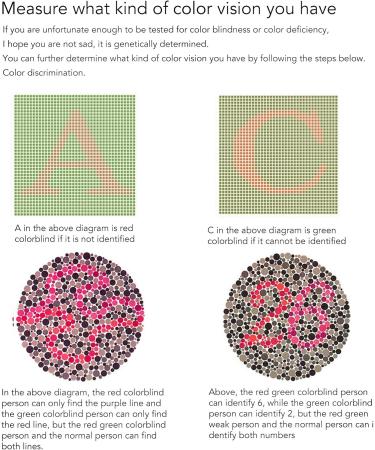 Color Blind Glasses for Red-Green Blindness | Enhance Color Perception | International Shipping - Buy Online on GoSupps.com