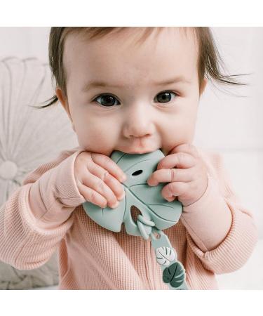 Loulou Lollipop Silicone Teether for Teething Baby - Monstera Seafoam | Gender Neutral Teething Toy - Buy Online on GoSupps.com