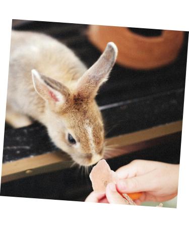 Levemolo 5pcs Animals Salt Cattle Salt Lick Salt for Animals Licking Salt Brick Pet Rope - Buy Online on GoSupps.com