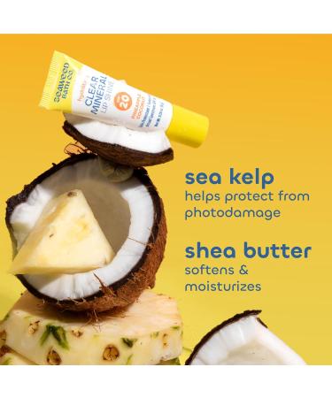 Seaweed Bath Co. Hydrating Clear Mineral Lip Shine SPF 20 - Zinc Oxide Lip Balm 6 Pack for Moisturizing Dry & Chapped Lips - Buy Online on GoSupps.com