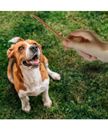 Only One Treats Bully Sticks 6 Jumbo Beef Dental Sticks for Dogs Dental Health Natural and Fully Digestible Dog Chew Training Treats for Small to Medium Pets and Gentle Chewers (15x34g) 15 count (Pack of 1) 6" (Pack of 15) - Buy Online on GoSupps.com