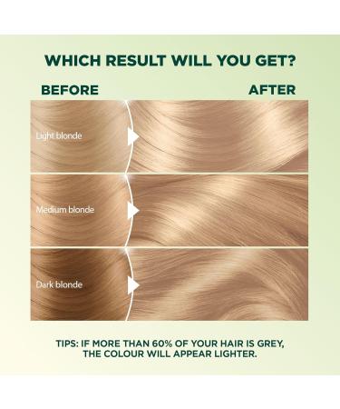 Garnier Nutrisse Ultra Cr me Permanent Hair Dye 100% Grey Coverage Vegan Formula Nourished Hair Long-Lasting Rich Colour 90 Light Natural Blonde 1 Application Packaging May Vary BLONDE SHADES 90 Medium Neutral Blonde - Buy Online on GoSupps.com