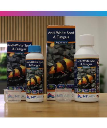 NT Labs Aquarium Anti-White Spot and Fungus Treatment - 7-Day Relief for Protozoan Parasites and Fungal Growths - Non-Toxic Formula (100 ml) - Buy Online on GoSupps.com