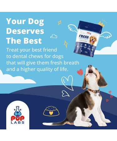 Pup Labs Fresh Breathies: All-Natural Dental Chews for Dogs - Supports Gut Health & Immune System - Made in USA - 60 Chews - Buy Online on GoSupps.com