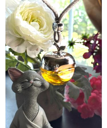 Money Abundance Prosperity Wishing Spell Air Diffuser with Conjure Ritual Oil/Incence Alternative/Conjure Aromatic Diffuser/Altar Diffuser/Hanging Ritual Diffuser/by Best Spells Magick