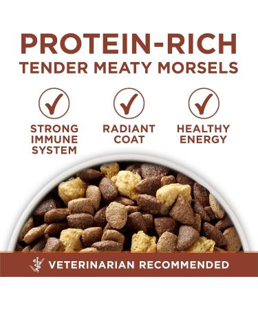 Purina ONE +Plus Dry Dog Food Healthy Weight with Turkey - 7 kg Bag - Buy Online on GoSupps.com