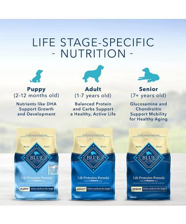Buy Blue Buffalo Life Protection Formula Natural Adult Dry Dog Food - Premium Nutrition for Your Dog - Buy Online on GoSupps.com