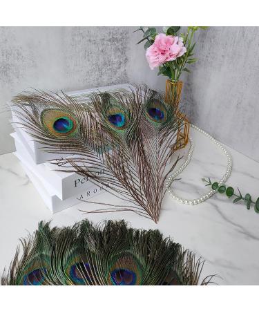 THARAHT 12pcs 10-12 inch Peacock Feathers Bulk for Crafts & Decorations - Buy Online on GoSupps.com