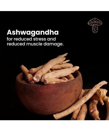 The Sporing Company Mycoveda Energy - Stamina Boost and Endurance with Cordyceps Ashwagandha Guarana - Buy Online on GoSupps.com