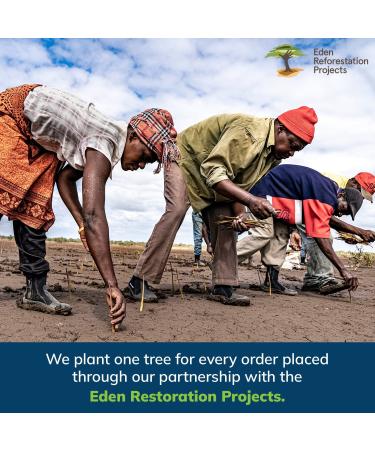 Eversprout Flexible Microfiber Ceiling Fan Duster with Extension Pole - 1.5 to 3 Ft Reach | Bendable, Long Duster for High Ceilings - Cleaning Tool for Any Fan Blade - Buy Online on GoSupps.com