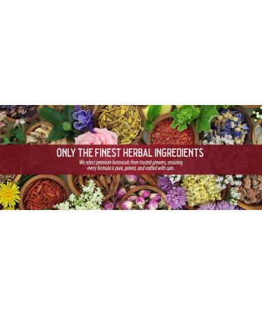 Herbalrich All-Purpose Natural Ointment 1.5 oz Ultra-Infused Herbal Salve 40+ Whole-Herb Complex for Muscles Joints Skin & Daily Recovery Handcrafted Low-Temp Slow-Infused No Chemical Fillers - Buy Online on GoSupps.com