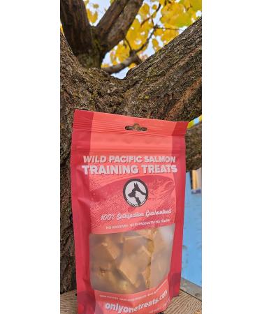Only One Treats Wild Pacific Salmon Training Treats (170g). for Your Family Pets. 100% Gluten Free Organic with no preservatives. Dog Training Treats. 176 g (Pack of 1) Salmon (Pack of 1) - Buy Online on GoSupps.com